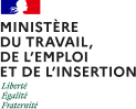 Ministère du travail, de l'emploi et de l'insertion