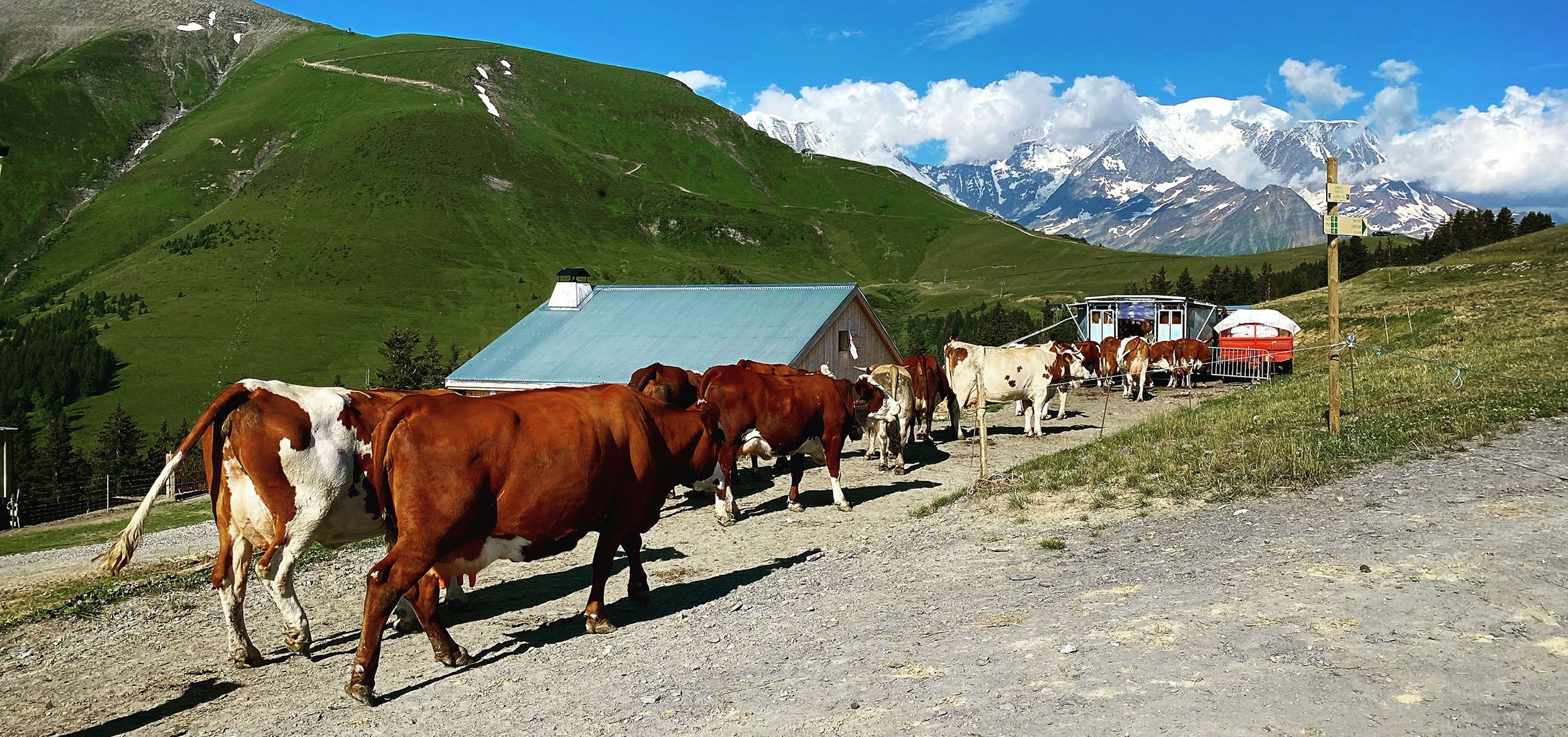 Flavie Melendez, Haute-Savoie