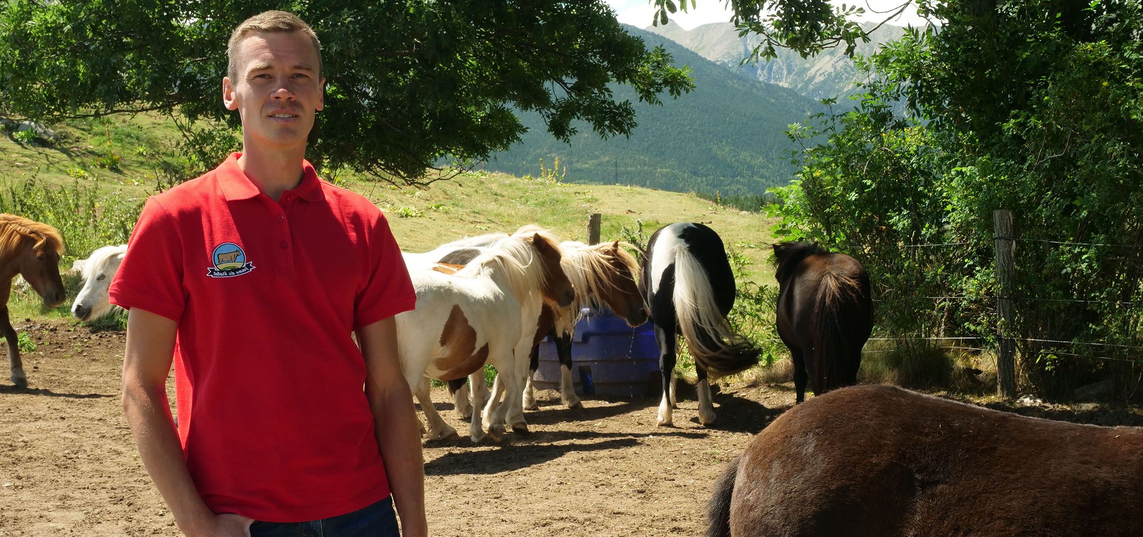 Denis Corrieu, Pyrénées-Orientales