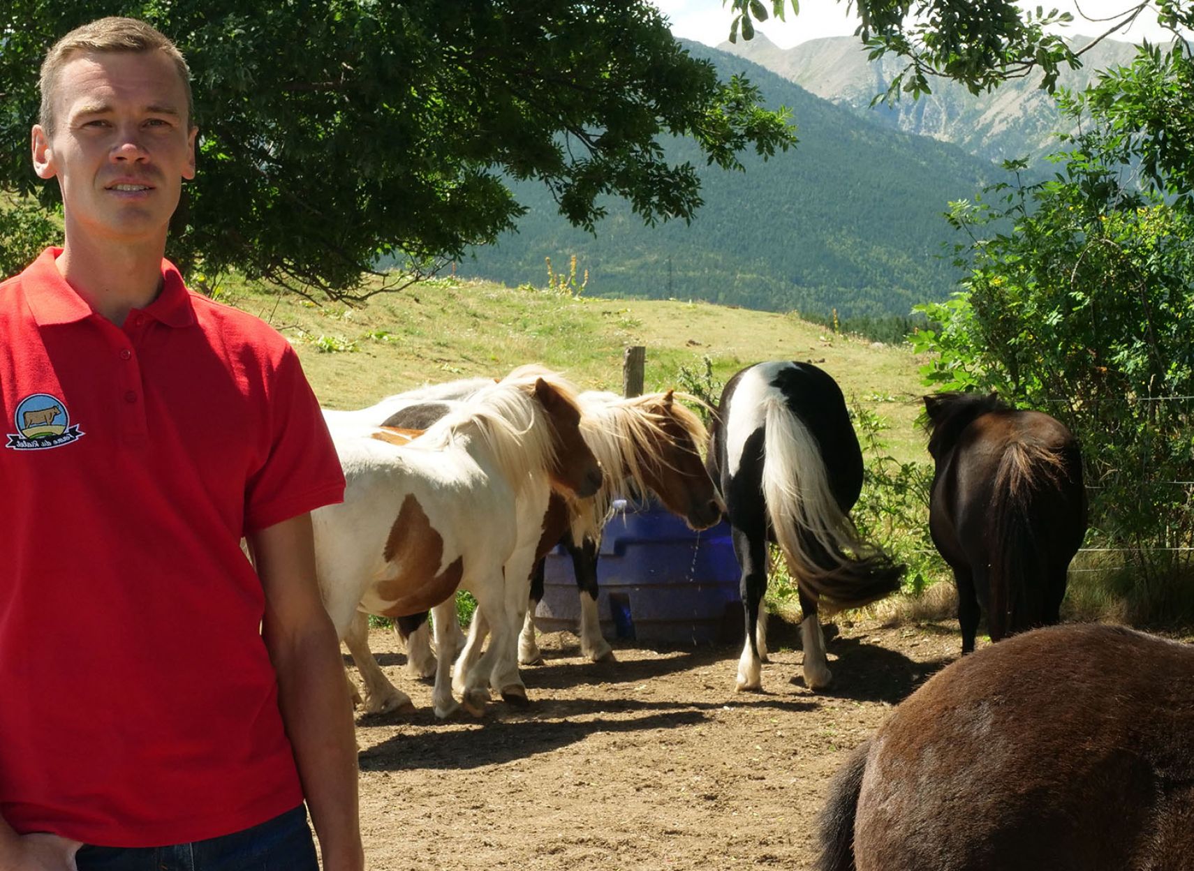 Denis Corrieu, Pyrénées-Orientales